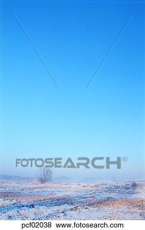 winter, season, the suburbs, the outskirts, tree, weather, day View Large Photo Image Stock Photo - winter, season, the suburbs, the outskirts, tree, weather, day. Fotosearch