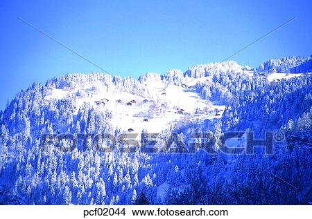 winter, winter mountain, season, the suburbs, the outskirts, tree, weather View Large Photo Image Picture - winter, winter mountain, season, the suburbs, the outskirts, tree, weather. Fotosearch