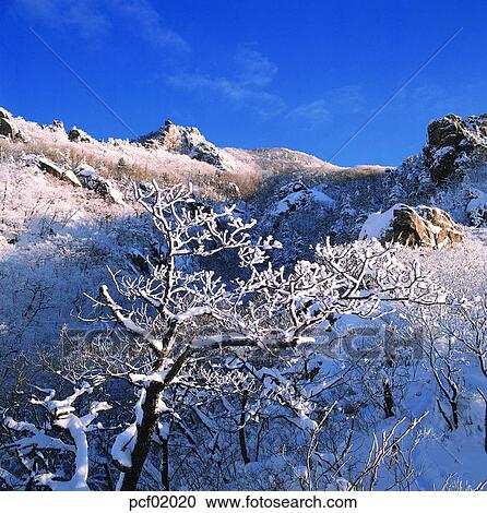 winter, winter mountain, season, the suburbs, the outskirts, tree, weather View Large Photo Image Stock Image - winter, winter mountain, season, the suburbs, the outskirts, tree, weather. Fotosearch