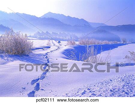 winter, winter mountain, season, the suburbs, the outskirts, tree, weather View Large Photo Image Stock Image - winter, winter mountain, season, the suburbs, the outskirts, tree, weather. Fotosearch