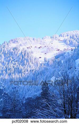 Stock Photo - winter, winter mountain, season, the suburbs, the outskirts, tree, weather. Fotosearch