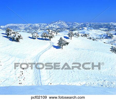 winter, winter mountain, season, the suburbs, the outskirts, tree, weather View Large Photo Image Stock Photo - winter, winter mountain, season, the suburbs, the outskirts, tree, weather. Fotosearch