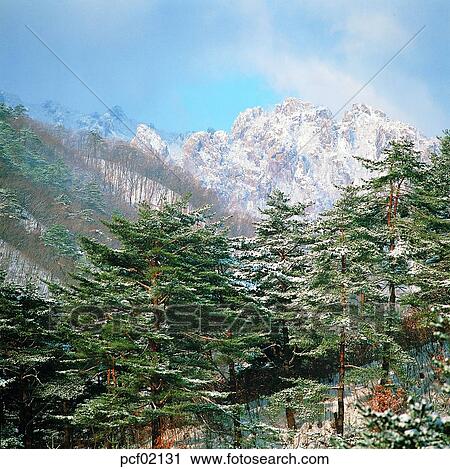 winter, winter mountain, winter scenery, winter scene, winter view, season, the suburbs View Large Photo Image Stock Image - winter, winter mountain, winter scenery, winter scene, winter view, season, the suburbs. Fotosearch