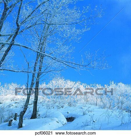 winter, winter mountain, winter scenery, winter scene, winter view, season, the suburbs View Large Photo Image Stock Image - winter, winter mountain, winter scenery, winter scene, winter view, season, the suburbs. Fotosearch