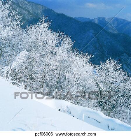 winter, winter mountain, winter scenery, winter scene, winter view, season, the suburbs View Large Photo Image Stock Photograph - winter, winter mountain, winter scenery, winter scene, winter view, season, the suburbs. Fotosearch