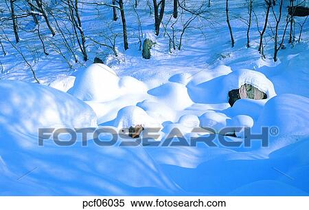 winter, winter mountain, winter scenery, winter scene, winter view, season, the suburbs View Large Photo Image Stock Photography - winter, winter mountain, winter scenery, winter scene, winter view, season, the suburbs. Fotosearch