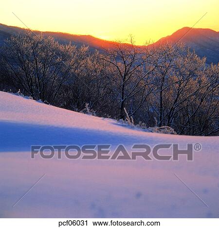 winter, winter scenery, winter scene, winter view, season, the suburbs, the outskirts View Large Photo Image Stock Image - winter, winter scenery, winter scene, winter view, season, the suburbs, the outskirts. Fotosearch