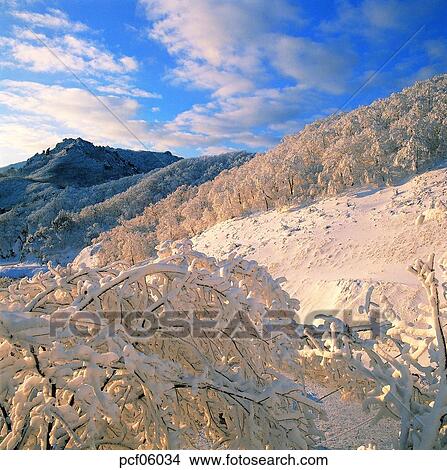 winter, winter tree, winter mountain, winter scenery, winter scene, winter view, season View Large Photo Image Picture - winter, winter tree, winter mountain, winter scenery, winter scene, winter view, season. Fotosearch