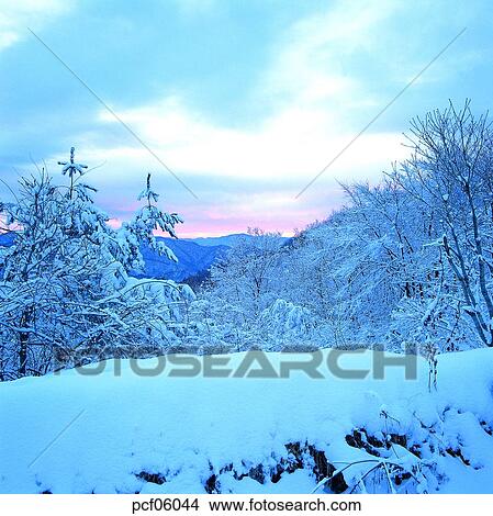 winter, winter tree, winter mountain, winter scenery, winter scene, winter view, season View Large Photo Image Picture - winter, winter tree, winter mountain, winter scenery, winter scene, winter view, season. Fotosearch
