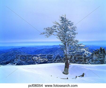 winter, winter tree, winter mountain, winter scenery, winter scene, winter view, season View Large Photo Image Picture - winter, winter tree, winter mountain, winter scenery, winter scene, winter view, season. Fotosearch