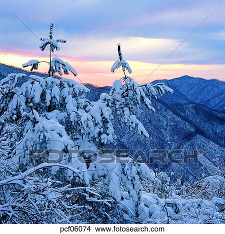 winter, winter tree, winter mountain, winter scenery, winter scene, winter view, season View Large Photo Image Picture - winter, winter tree, winter mountain, winter scenery, winter scene, winter view, season. Fotosearch