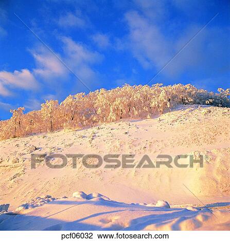 winter, winter tree, winter mountain, winter scenery, winter scene, winter view, season View Large Photo Image Stock Image - winter, winter tree, winter mountain, winter scenery, winter scene, winter view, season. Fotosearch