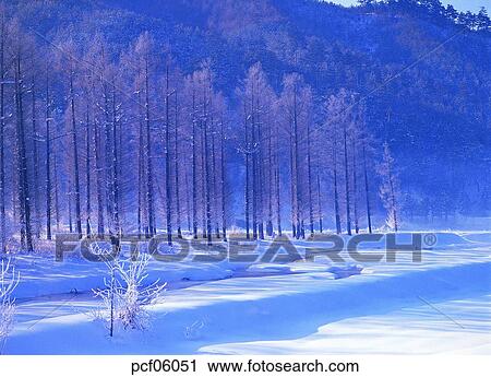 Stock Image - winter, winter tree, winter mountain, winter scenery, winter scene, winter view, season. Fotosearch