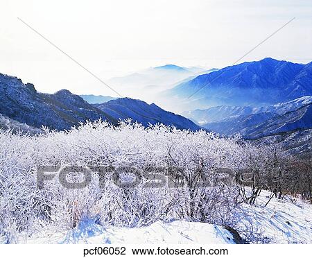 winter, winter tree, winter mountain, winter scenery, winter scene, winter view, season View Large Photo Image Stock Image - winter, winter tree, winter mountain, winter scenery, winter scene, winter view, season. Fotosearch