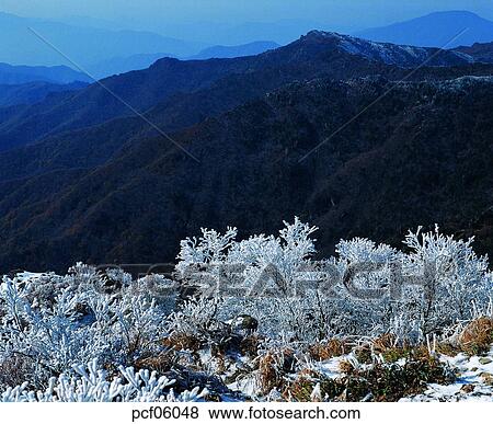 winter, winter tree, winter mountain, winter scenery, winter scene, winter view, season View Large Photo Image Stock Photo - winter, winter tree, winter mountain, winter scenery, winter scene, winter view, season. Fotosearch