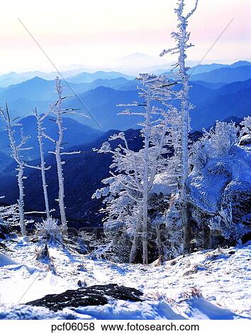 winter, winter tree, winter mountain, winter scenery, winter scene, winter view, season View Large Photo Image Stock Photo - winter, winter tree, winter mountain, winter scenery, winter scene, winter view, season. Fotosearch