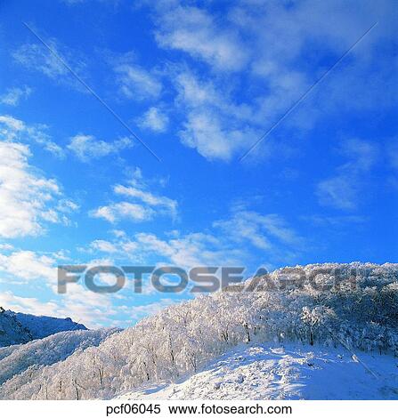 winter, winter tree, winter mountain, winter scenery, winter scene, winter view, season View Large Photo Image Stock Photography - winter, winter tree, winter mountain, winter scenery, winter scene, winter view, season. Fotosearch