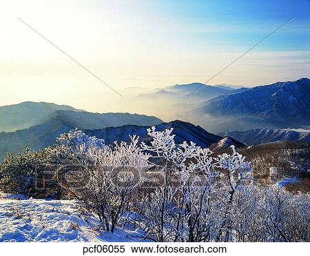 winter, winter tree, winter mountain, winter scenery, winter scene, winter view, season View Large Photo Image Stock Photography - winter, winter tree, winter mountain, winter scenery, winter scene, winter view, season. Fotosearch