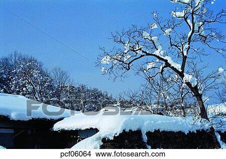 winter, winter tree, winter scenery, winter scene, winter view, season, the suburbs View Large Photo Image Picture - winter, winter tree, winter scenery, winter scene, winter view, season, the suburbs. Fotosearch