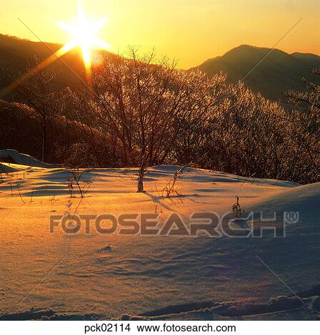 winter, winter tree, winter scenery, winter scene, winter view, season, the suburbs View Large Photo Image Picture - winter, winter tree, winter scenery, winter scene, winter view, season, the suburbs. Fotosearch