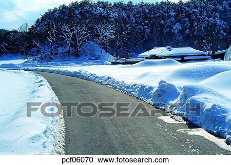winter, winter tree, winter scenery, winter scene, winter view, season, the suburbs View Large Photo Image Stock Image - winter, winter tree, winter scenery, winter scene, winter view, season, the suburbs. Fotosearch