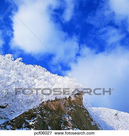winter, winter tree, winter scenery, winter scene, winter view, season, the suburbs View Large Photo Image Stock Photo - winter, winter tree, winter scenery, winter scene, winter view, season, the suburbs. Fotosearch