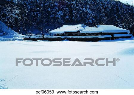 winter, winter tree, winter scenery, winter scene, winter view, season, the suburbs View Large Photo Image Stock Photo - winter, winter tree, winter scenery, winter scene, winter view, season, the suburbs. Fotosearch