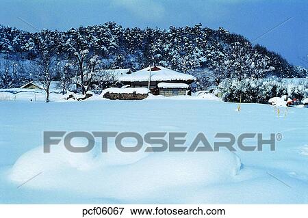 winter, winter tree, winter scenery, winter scene, winter view, season, the suburbs View Large Photo Image Stock Photo - winter, winter tree, winter scenery, winter scene, winter view, season, the suburbs. Fotosearch