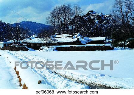 winter, winter tree, winter scenery, winter scene, winter view, season, the suburbs View Large Photo Image Stock Photo - winter, winter tree, winter scenery, winter scene, winter view, season, the suburbs. Fotosearch