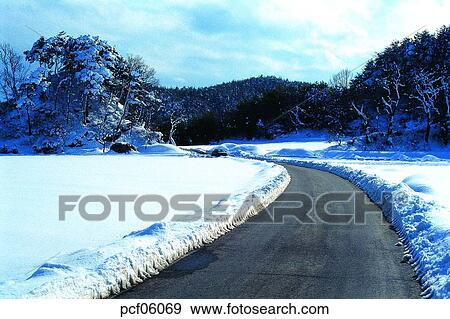winter, winter tree, winter scenery, winter scene, winter view, season, the suburbs View Large Photo Image Stock Photo - winter, winter tree, winter scenery, winter scene, winter view, season, the suburbs. Fotosearch