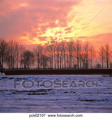 winter, winter tree, winter scenery, winter scene, winter view, season, the suburbs View Large Photo Image Stock Photo - winter, winter tree, winter scenery, winter scene, winter view, season, the suburbs. Fotosearch