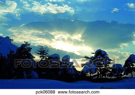 Stock Photo - winter, winter tree, winter scenery, winter scene, winter view, season, the suburbs. Fotosearch