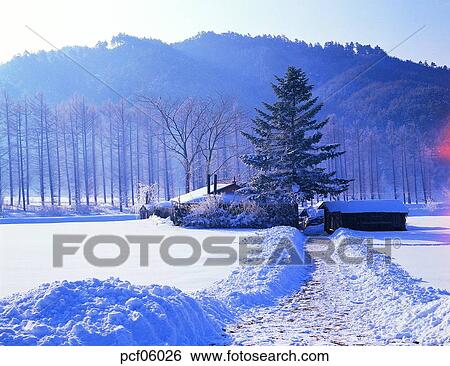 winter, winter tree, winter scenery, winter scene, winter view, season, the suburbs View Large Photo Image Stock Photograph - winter, winter tree, winter scenery, winter scene, winter view, season, the suburbs. Fotosearch