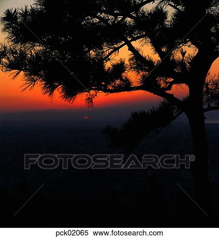 branch, red sky, sunset, sunrise, sunset, sundown View Large Photo Image Stock Photography - branch, red sky, sunset, sunrise, sunset, sundown. Fotosearch