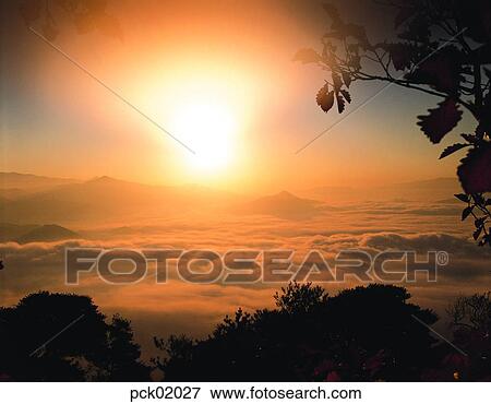 Stock Photo - cloud, tree, branch, red sky, sunset, sunrise. Fotosearch