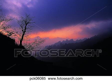 cloud, tree, branch, red sky, sunset, sunrise, ridgeline View Large Photo Image Stock Photography - cloud, tree, branch, red sky, sunset, sunrise, ridgeline. Fotosearch