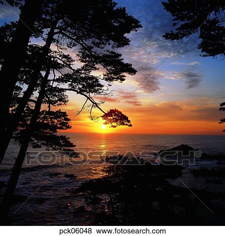 cloud, tree, red sky, sunset, sunrise, sea, rock View Large Photo Image Stock Photo - cloud, tree, red sky, sunset, sunrise, sea, rock. Fotosearch