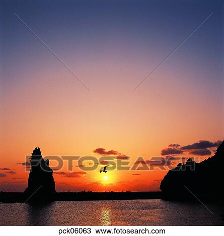 gull, cloud, fluttering act, flutter the wings, red sky, sunset, sunrise View Large Photo Image Stock Image - gull, cloud, fluttering act, flutter the wings, red sky, sunset, sunrise. Fotosearch