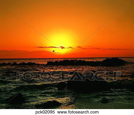 gull, cloud, red sky, sunset, sunrise, stone, rock View Large Photo Image Stock Photography - gull, cloud, red sky, sunset, sunrise, stone, rock. Fotosearch