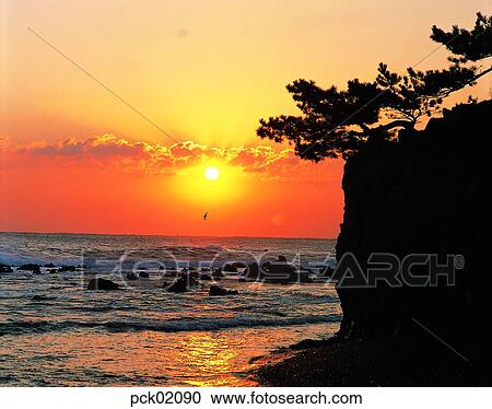 gull, scene, scenery, view, cloud, red sky, sunset View Large Photo Image Stock Image - gull, scene, scenery, view, cloud, red sky, sunset. Fotosearch