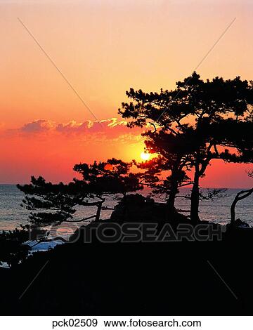scene, scenery, view, cloud, red sky, sunset, sunrise View Large Photo Image Stock Photo - scene, scenery, view, cloud, red sky, sunset, sunrise. Fotosearch