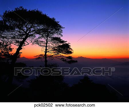 Stock Image - scene, scenery, view, cloud, tree, red sky, sunset. Fotosearch