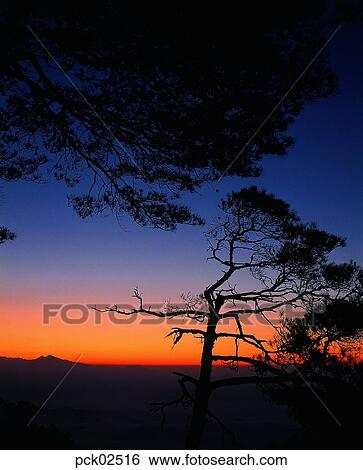 scene, scenery, view, tree, red sky, sunset, sunrise View Large Photo Image Stock Photograph - scene, scenery, view, tree, red sky, sunset, sunrise. Fotosearch