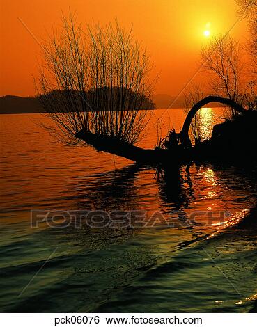 river, riverside, riverside village, tree, branch, red sky, sunset View Large Photo Image Stock Photograph - river, riverside, riverside village, tree, branch, red sky, sunset. Fotosearch