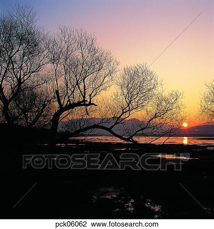 river, riverside, tree, branch, red sky, sunset, sunrise View Large Photo Image Stock Image - river, riverside, tree, branch, red sky, sunset, sunrise. Fotosearch