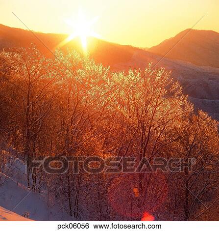 winter, winter mountain, winter scenery, winter view, tree, branch, snow View Large Photo Image Stock Photograph - winter, winter mountain, winter scenery, winter view, tree, branch, snow. Fotosearch