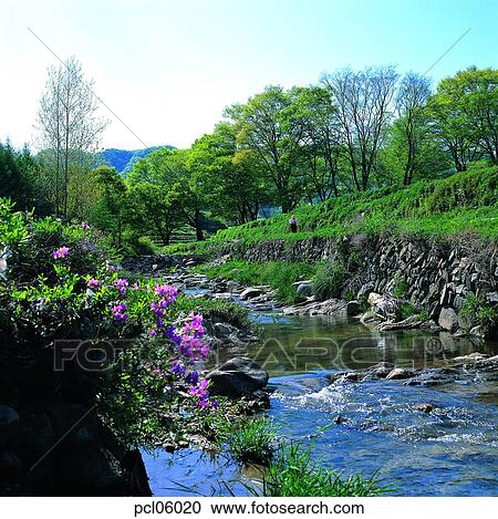 brook, little stream, stream water, stream, day, farm scenery, spring View Large Photo Image Stock Image - brook, little stream, stream water, stream, day, farm scenery, spring. Fotosearch