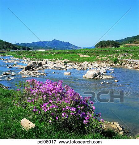 brook, little stream, stream water, stream, day, spring, spring View Large Photo Image Stock Photo - brook, little stream, stream water, stream, day, spring, spring. Fotosearch