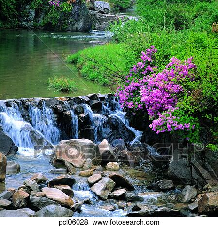 brook, little stream, stream water, stream, day, rock, spring View Large Photo Image Stock Photo - brook, little stream, stream water, stream, day, rock, spring. Fotosearch