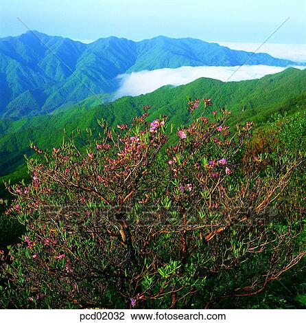 day, spring, spring, spring mountain, spring scenery, mountain View Large Photo Image Stock Image - day, spring, spring, spring mountain, spring scenery, mountain. Fotosearch